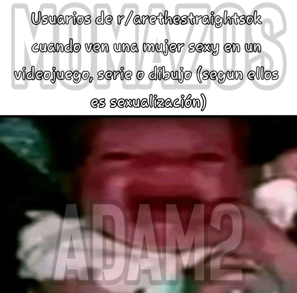 Usuarixs de r/crethestraightsok cuando ven una mujer sexy en un videojuego, seria o dibujo (segun ellos es sexualización)