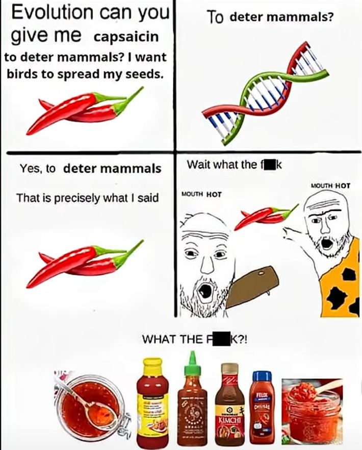 Evolution can you give me capsaisin to deter mammals? I want birds to spread my seeds. To deter mammals? Yes, to deter mammals. That is precisely what I said. Wait what the f**k. WHAT THE F**K?!