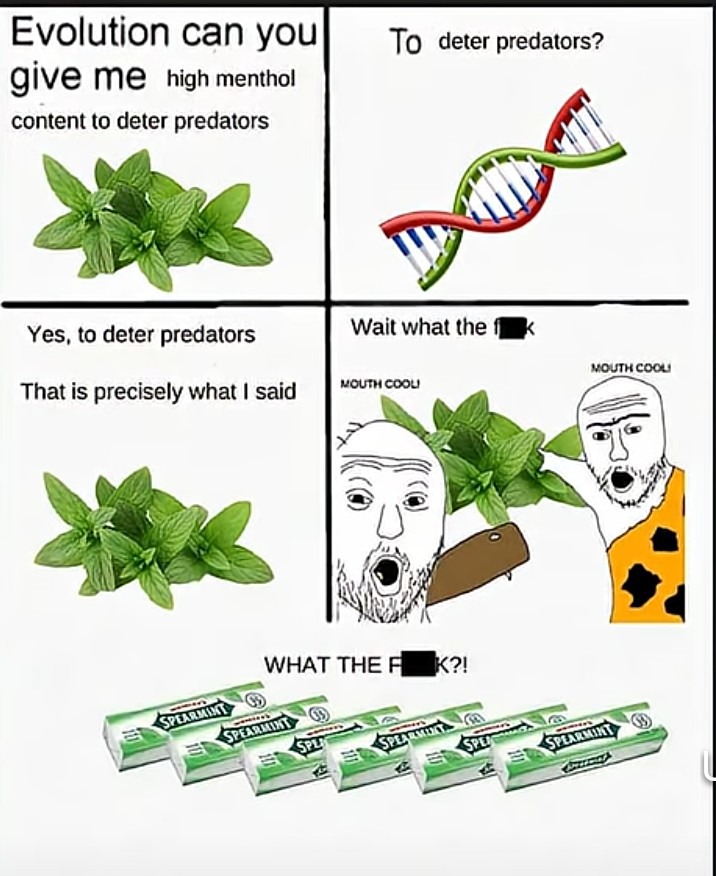 Evolution can you give me high menthol content to deter predators
To deter predators
Yes, to deter predators
That is precisely what I said
WHAT THE F**K?!