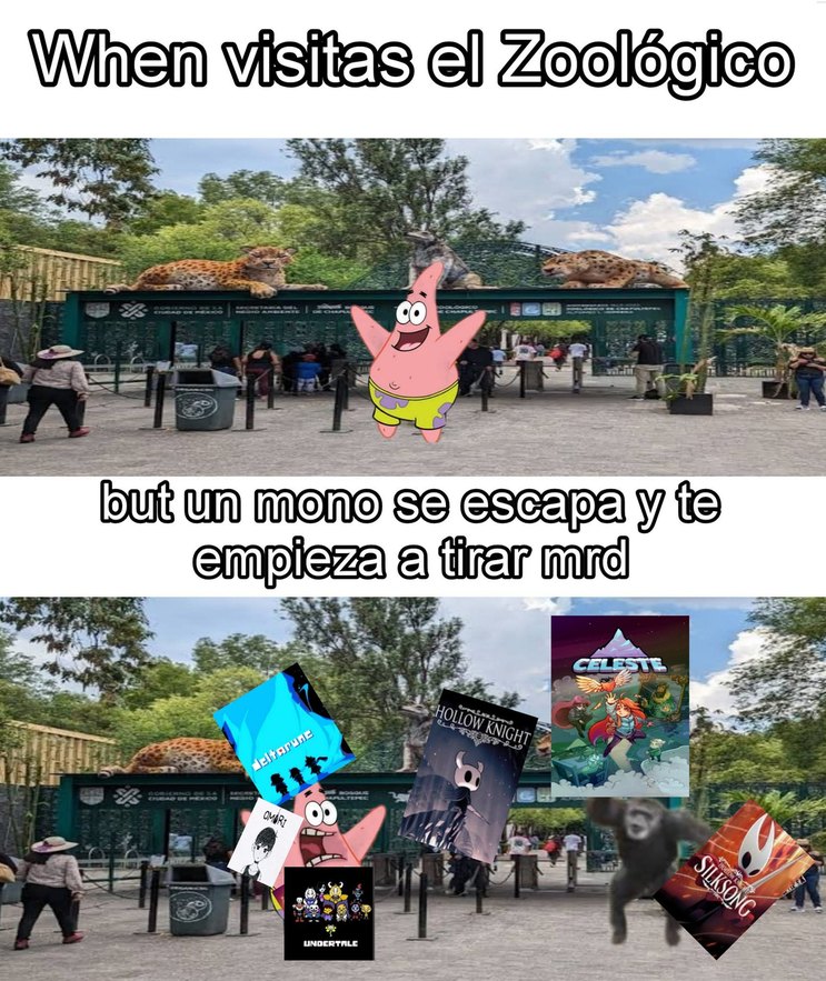 When visitas el Zoológico
but un mono se escapa y te empieza a tirar mrd