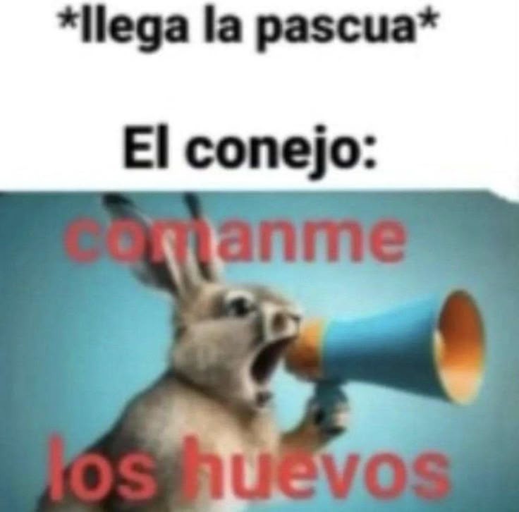 *llega la pascua* El conejo: consámeme los huevos