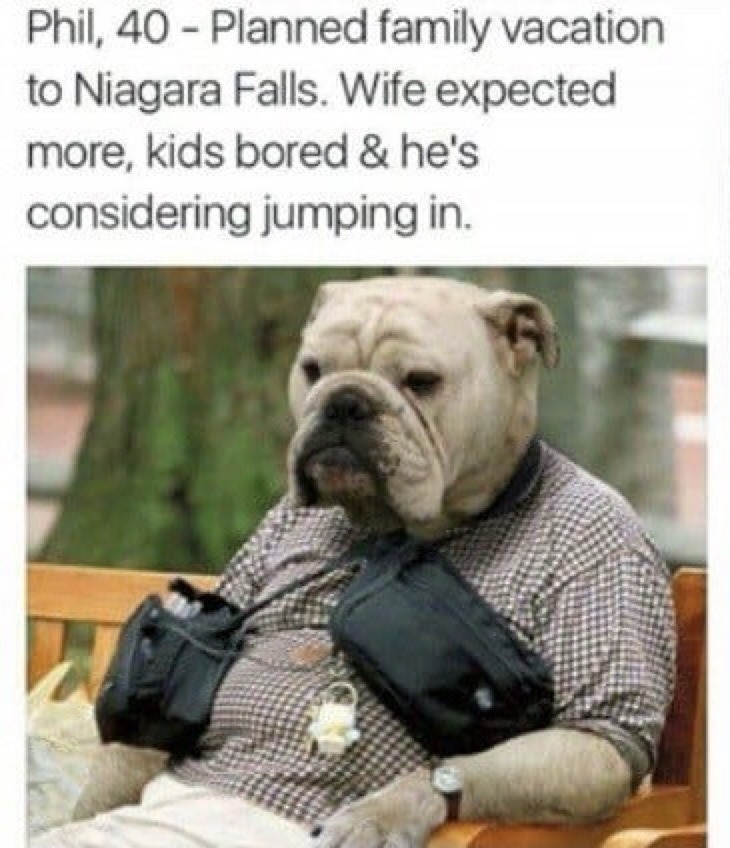 Phil, 40 - Planned family vacation to Niagara Falls. Wife expected more, kids bored & he’s considering jumping in.