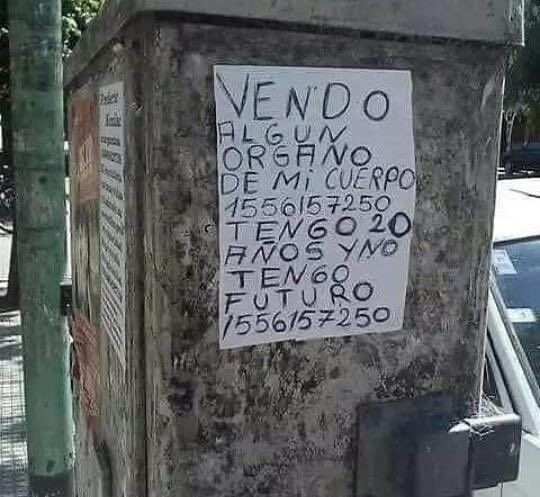 VENDO ALGUNO ÓRGANO DE MI CUERPO 155657250 TENGO 20 AÑOS Y NO TENGO FUTURO 155657250