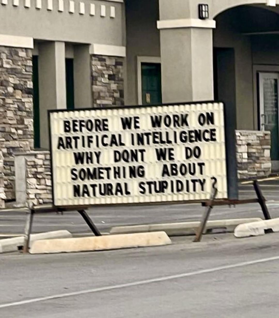 BEFORE WE WORK ON ARTIFICIAL INTELLIGENCE WHY DONT WE DO SOMETHING ABOUT NATURAL STUPIDITY?