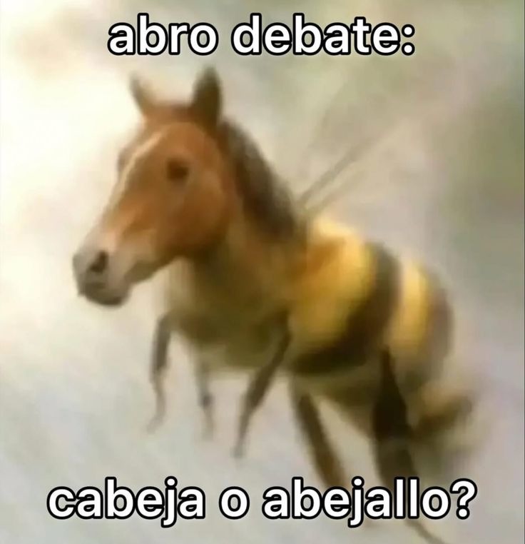abro debate:
cabeza o abeja?
