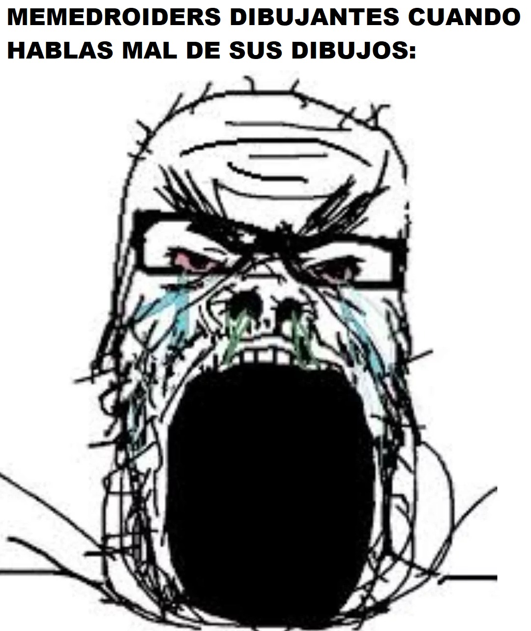 MEMEDROIDERS DIBUJANTES CUANDO HABLAS MAL DE SUS DIBUJOS: