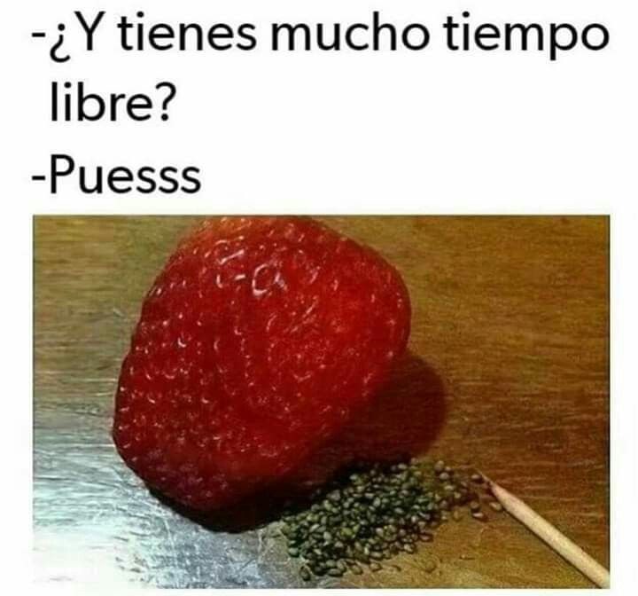 ¿Y tienes mucho tiempo libre?
-Puess