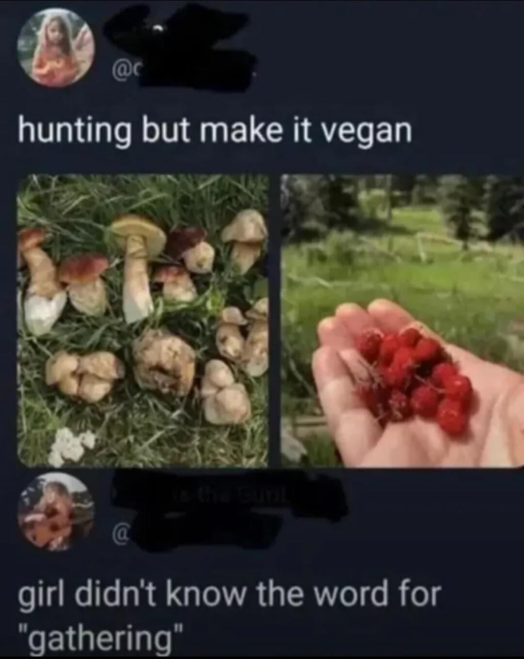 hunting but make it vegan

girl didn't know the word for 