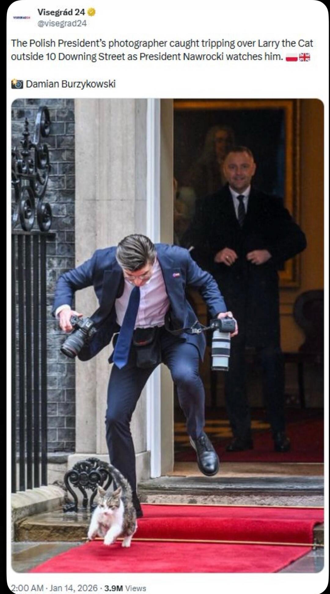 The Polish President's photographer caught tripping over Larry the Cat outside 10 Downing Street as President Nawrocki watches him.
