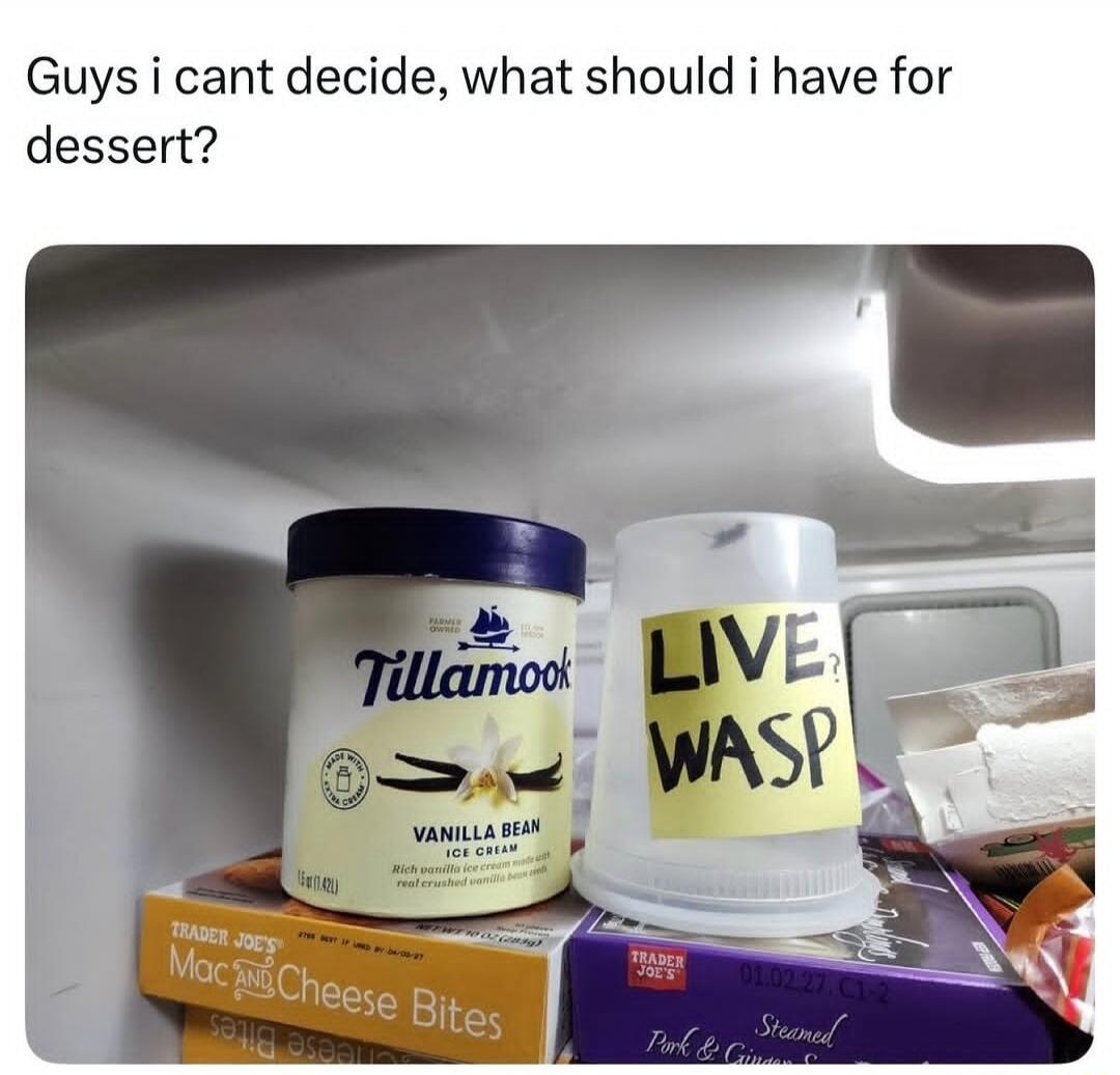 Guys i cant decide, what should i have for dessert? 
Tillamook Vanilla Bean ice cream
LIVE WASP