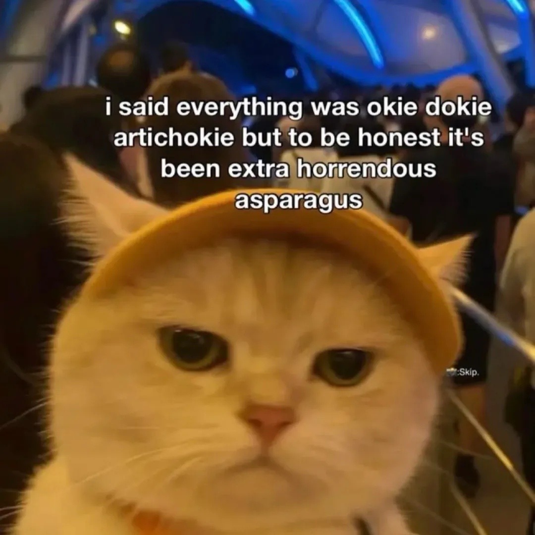 I said everything was okie dokie artichokie but to be honest it's been extra horrendous asparagus