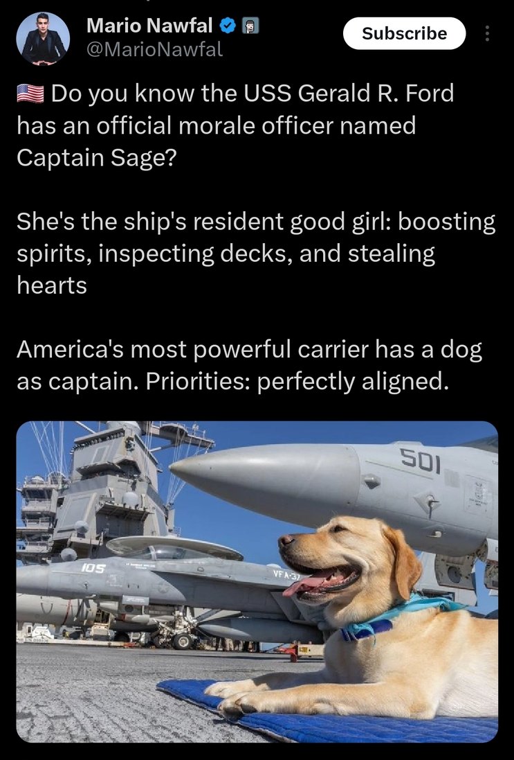 🇺🇸 Do you know the USS Gerald R. Ford has an official morale officer named Captain Sage?

She's the ship's resident good girl: boosting spirits, inspecting decks, and stealing hearts

America's most powerful carrier has a dog as captain. Priorities: perfectly aligned.