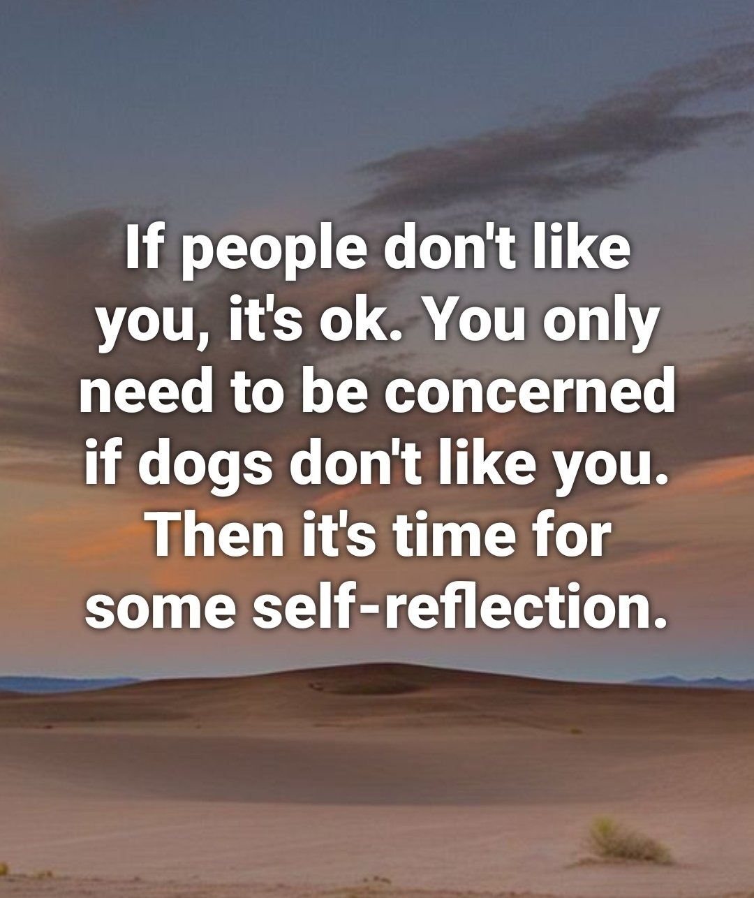 If people don't like you, it's ok. You only need to be concerned if dogs don't like you. Then it's time for some self-reflection.