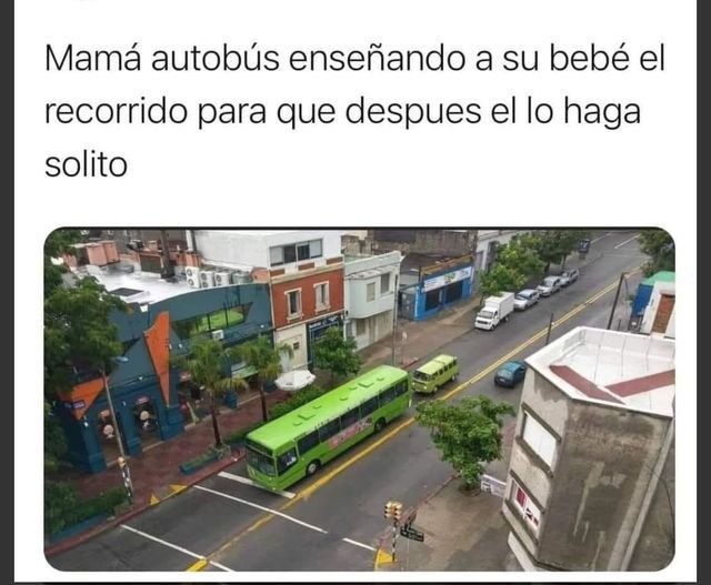Mamá autobús enseñando a su bebé el recorrido para que despues el lo haga solito