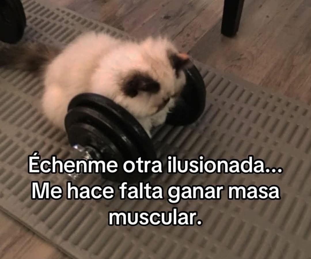 Échenme otra ilusionada... Me hace falta ganar masa muscular.