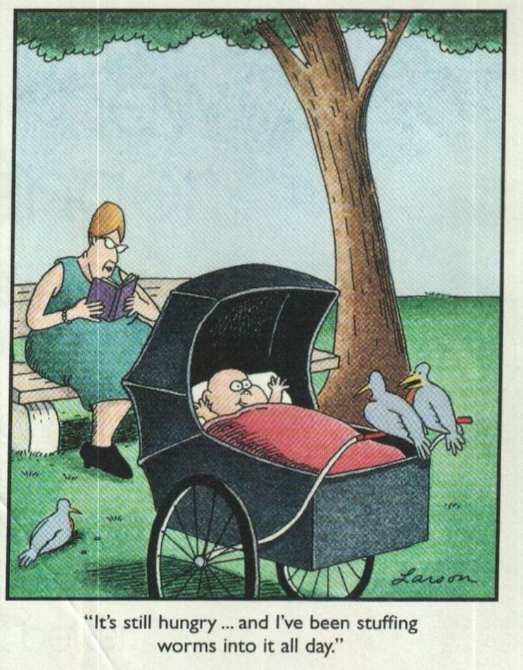 It's still hungry ... and I've been stuffing worms into it all day.