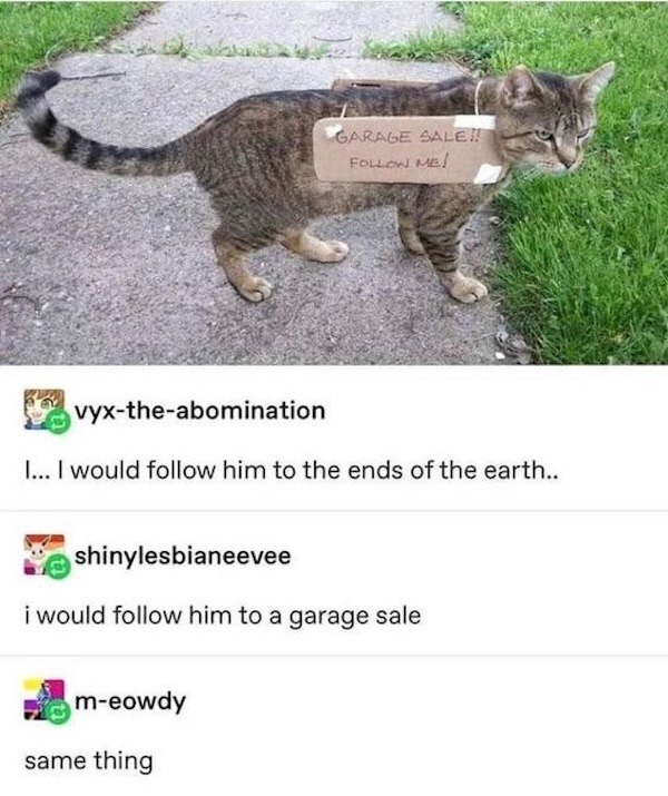 vyx-the-abomination: I... I would follow him to the ends of the earth..
shinylesbianeevee: i would follow him to a garage sale
m-eowdy: same thing