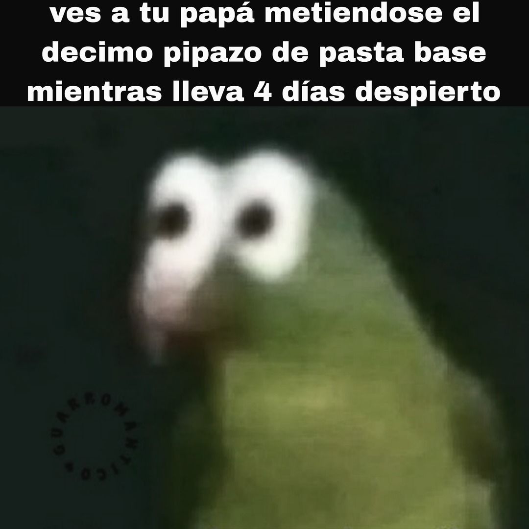 ves a tu papá metiéndose el decimo pipazo de pasta base mientras lleva 4 días despierto