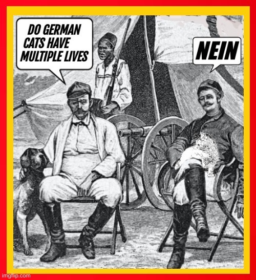 DO GERMAN CATS HAVE MULTIPLE LIVES
NEIN