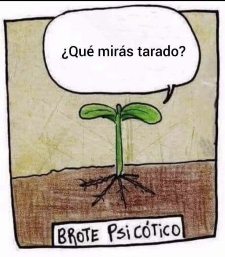 ¿Qué mirás tarado? Brote psicótico