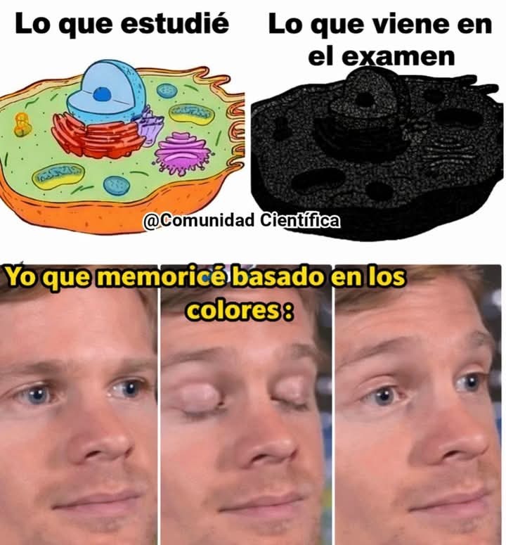 Lo que estudié
Lo que viene en el examen
Yo que memoricé basado en los colores :