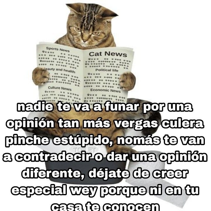 nadie te va a funar por una opinión tan más vergas culera pinche estúpido, nomás te van a contradecir o dar una opinión diferente, déjate de creer especial wey porque ni en tu casa te conocen
