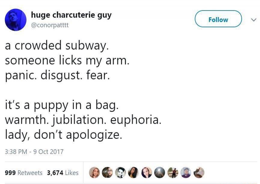 a crowded subway. someone licks my arm. panic. disgust. fear. it's a puppy in a bag. warmth. jubilation. euphoria. lady, don't apologize.