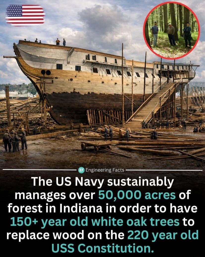 The US Navy sustainably manages over 50,000 acres of forest in Indiana in order to have 150+ year old white oak trees to replace wood on the 220 year old USS Constitution.