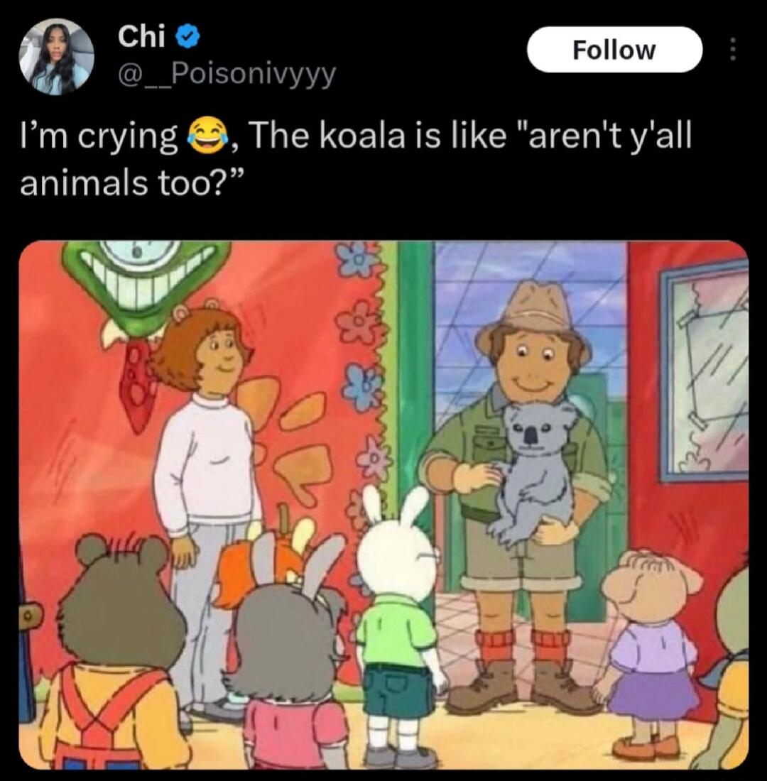 I’m crying 😂, The koala is like 