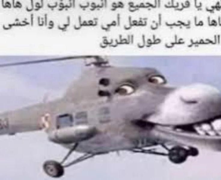 Texto no legible en la imagen