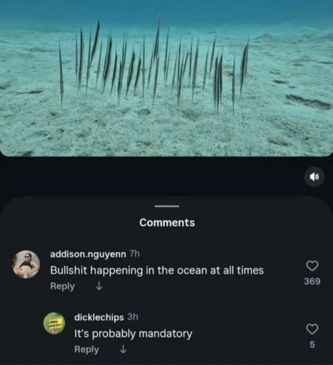 Bullshit happening in the ocean at all times
It's probably mandatory