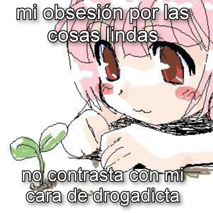 mi obsesión por las cosas lindas no contrasta con mi cara de drogadicta
