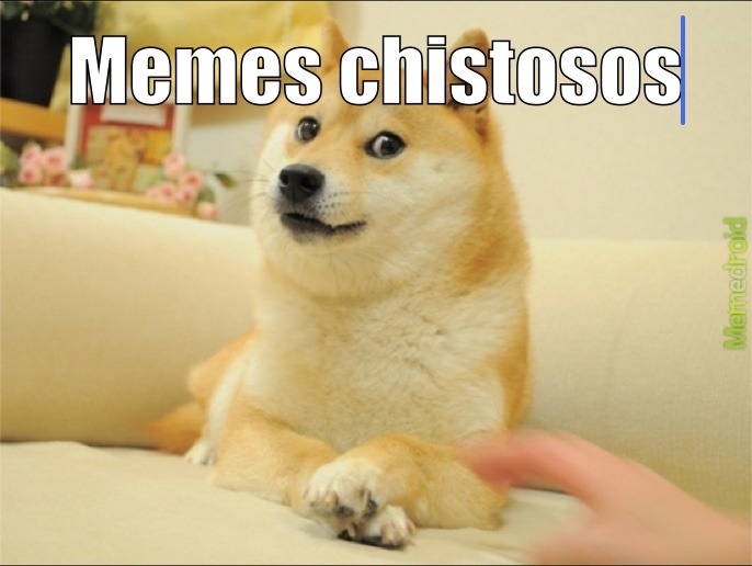 Memes chistosos