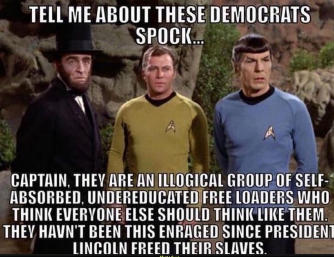 TELL ME ABOUT THESE DEMOCRATS SPOCK... CAPTAIN, THEY ARE AN ILLOGICAL GROUP OF SELF-ABSORBED, UNDEREDUCATED FREE LOADERS WHO THINK EVERYONE ELSE SHOULD THINK LIKE THEM. THEY HAVEN'T BEEN THIS ENRAGED SINCE PRESIDENT LINCOLN FREED THEIR SLAVES.