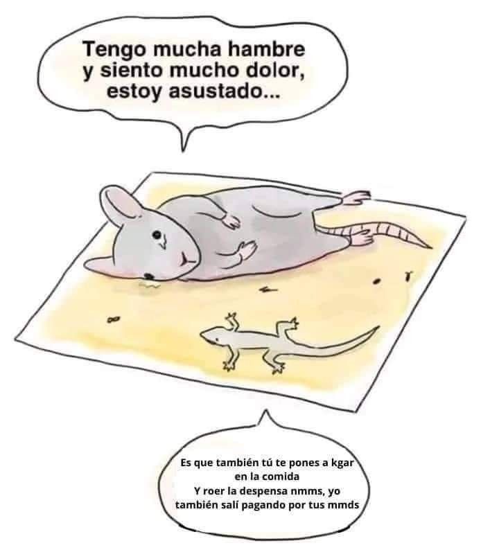 Tengo mucha hambre y siento mucho dolor, estoy asustado... Es que también tú te ponés a kal en la comida Y roer la despensa nmms, yo también salí pagando por tus mdms