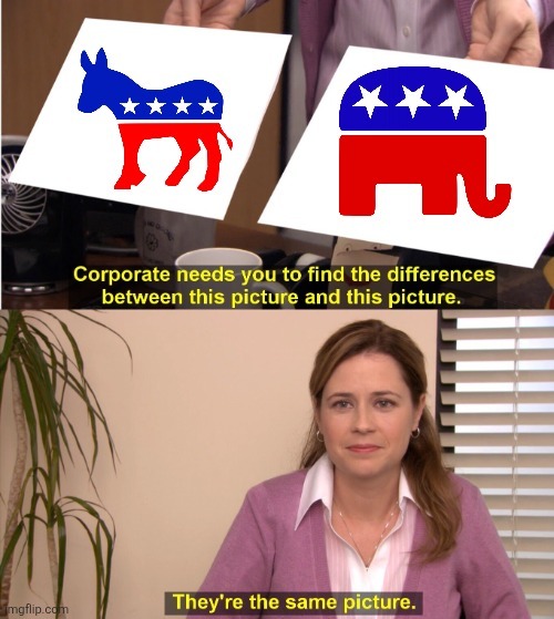 Corporate needs you to find the differences between this picture and this picture. They're the same picture.