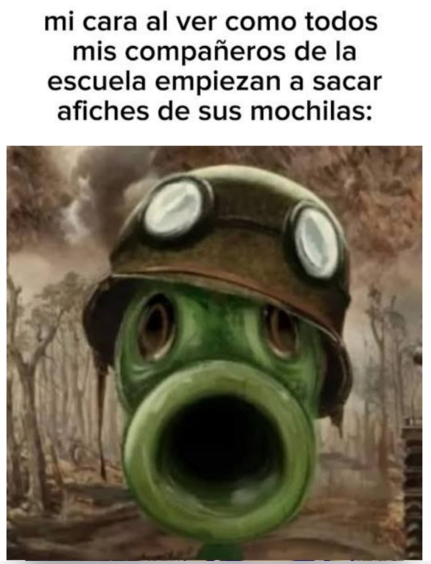 mi cara al ver como todos mis compañeros de la escuela empiezan a sacar afiches de sus mochilas: