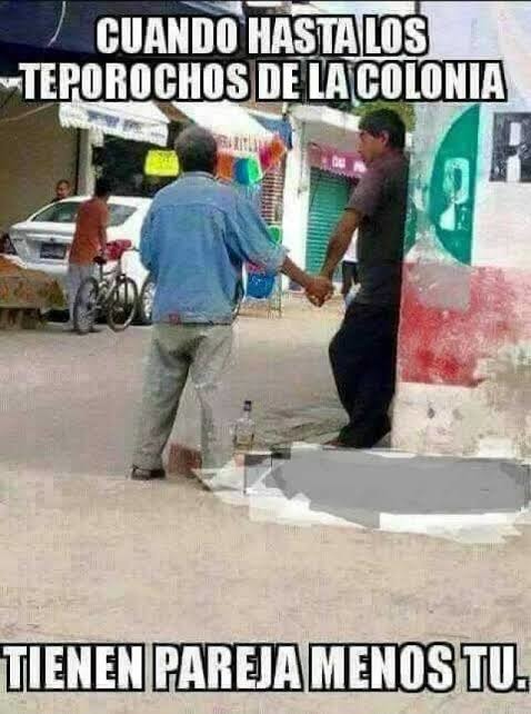 CUANDO HASTA LOS TEPOPOCHOS DE LA COLONIA TIENEN PAREJA MENOS TU
