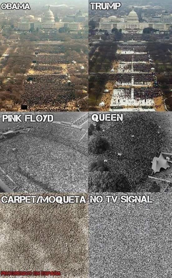 OBAMA TRUMP PINK FLOYD QUEEN CARPET/MOQUETA NO TV SIGNAL