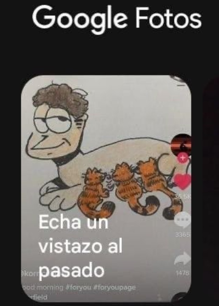 Google Fotos Echa un vistazo al pasado