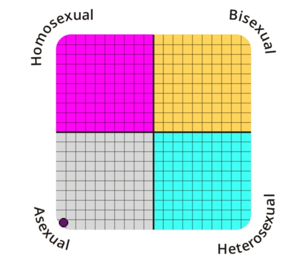 Homosexual (top-left), Bisexual (top-right), Asexual (bottom-left), Heterosexual (bottom-right)