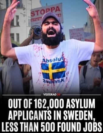 OUT OF 162,000 ASYLUM APPLICANTS IN SWEDEN, LESS THAN 500 FOUND JOBS