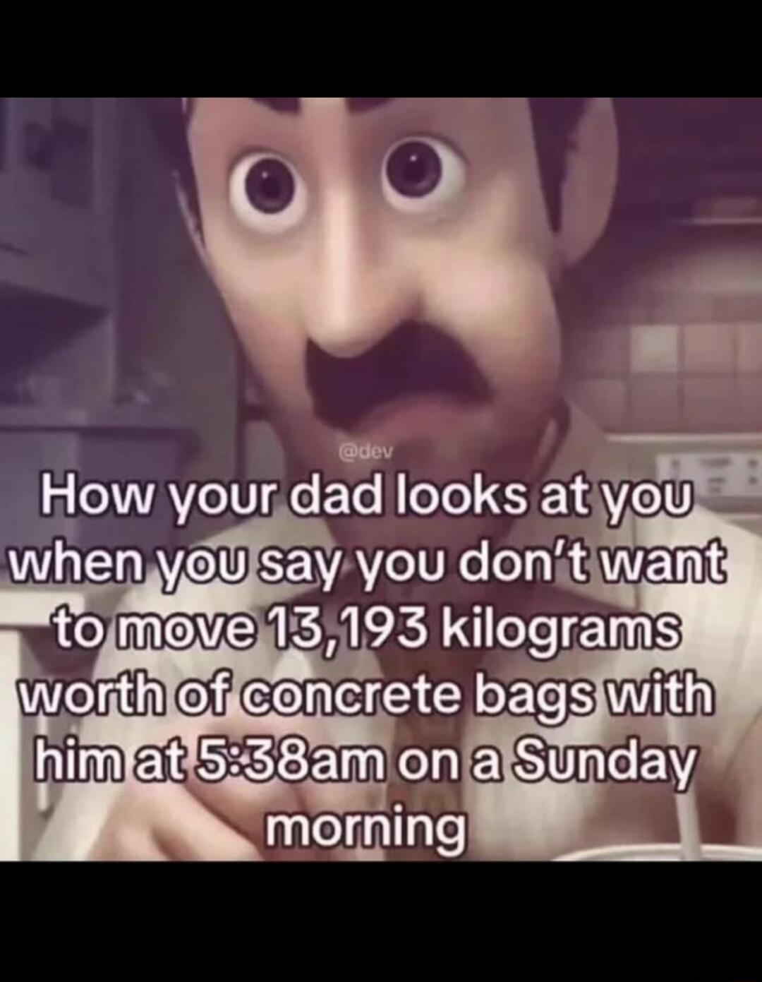 How your dad looks at you when you say you don’t want to move 13,193 kilograms worth of concrete bags with him at 5:38am on a Sunday morning
