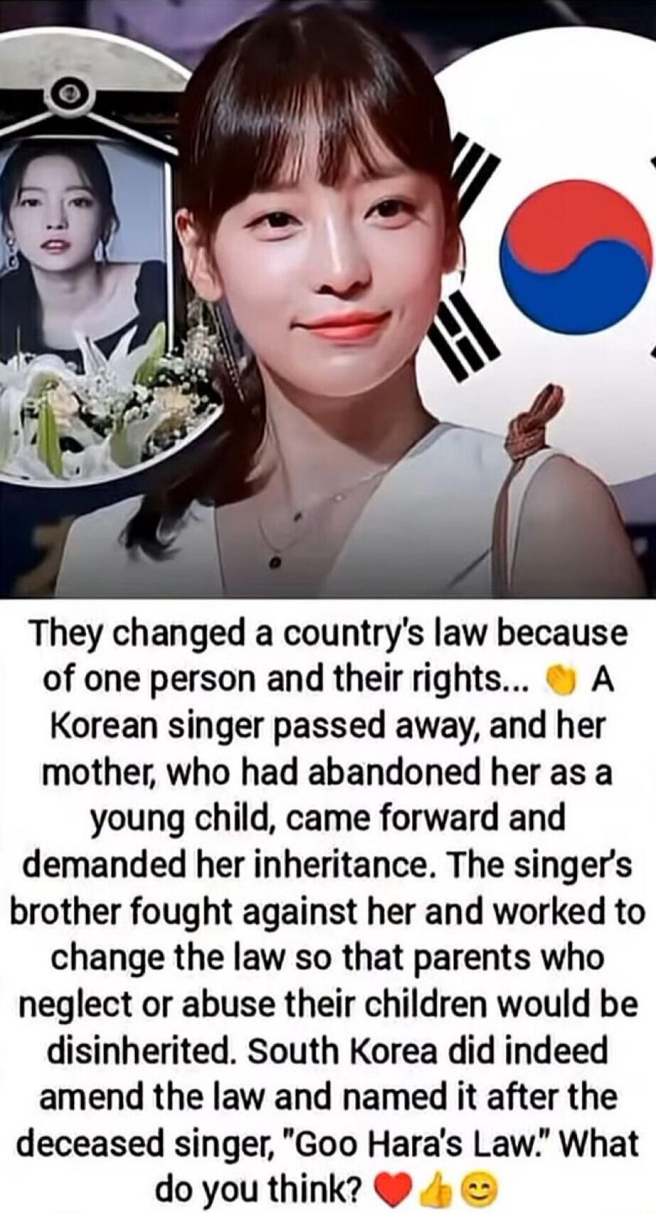 They changed a country's law because of one person and their rights... A Korean singer passed away, and her mother, who had abandoned her as a young child, came forward and demanded her inheritance. The singer's brother fought against her and worked to change the law so that parents who neglect or abuse their children would be disinherited. South K