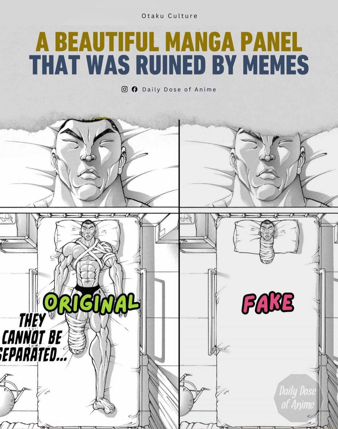 A BEAUTIFUL MANGA PANEL THAT WAS RUINED BY MEMES  ORIGINAL THEY CANNOT BE SEPARATED...  FAKE  Daily Dose of Anime  Otaku Culture