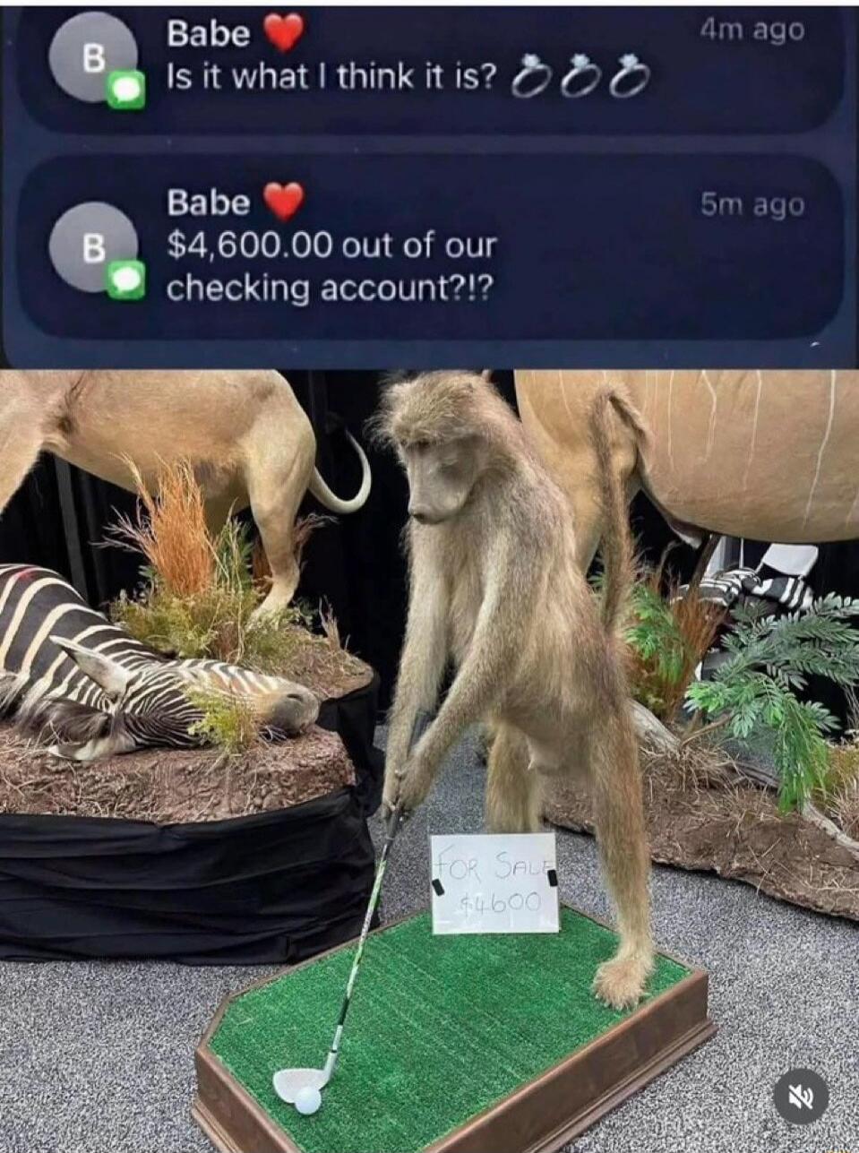 Is it what I think it is? 👀👀
$4,600.00 out of our checking account?!?