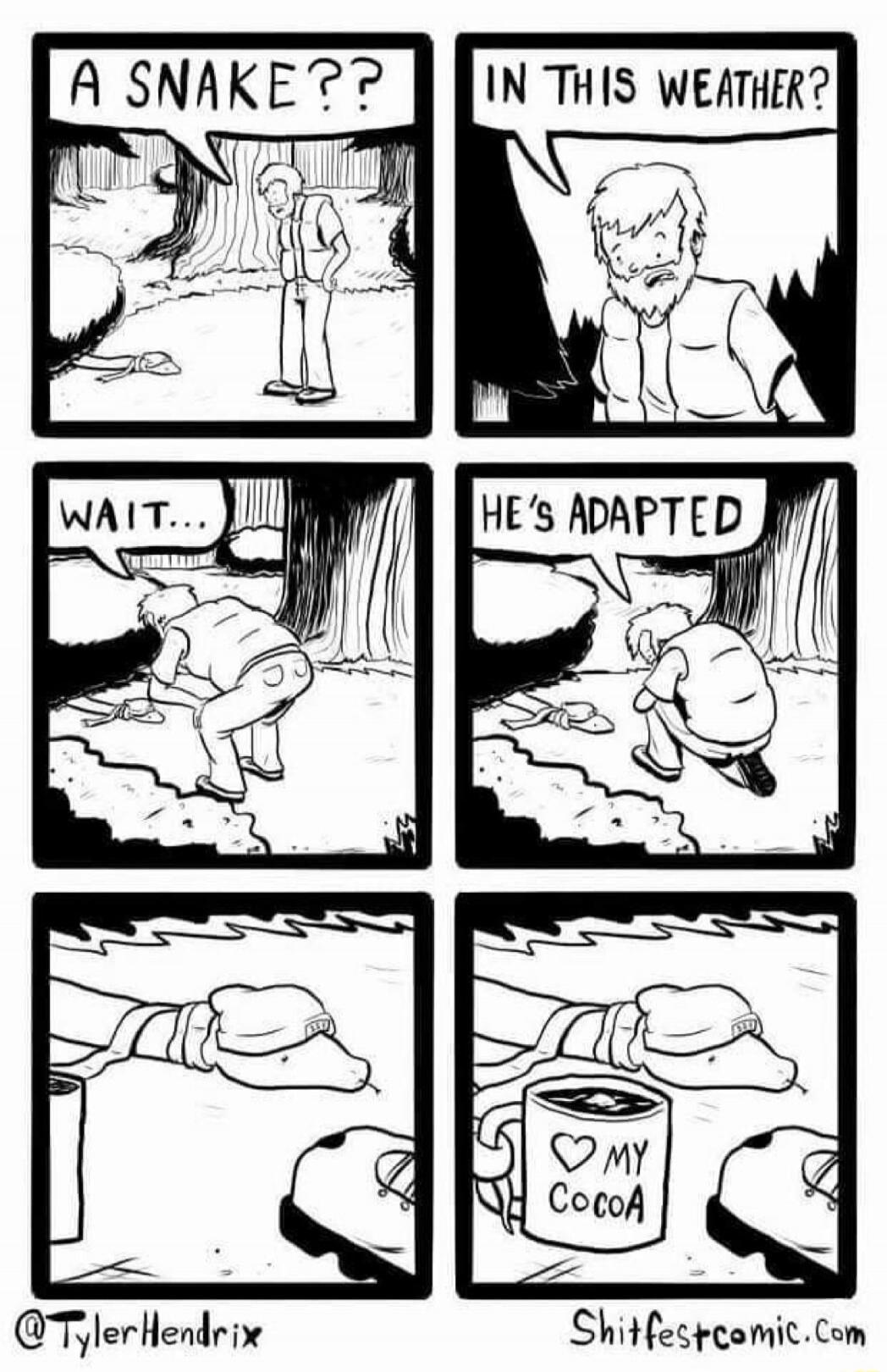 A SNAKE?? IN THIS WEATHER? WAIT... HE'S ADAPTED ♥ MY COCOA