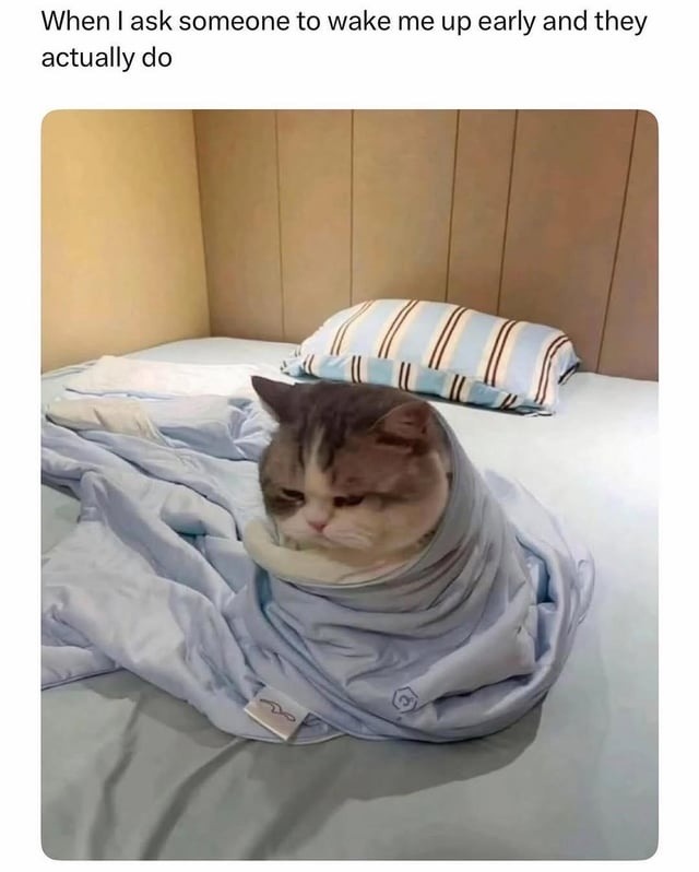 When I ask someone to wake me up early and they actually do