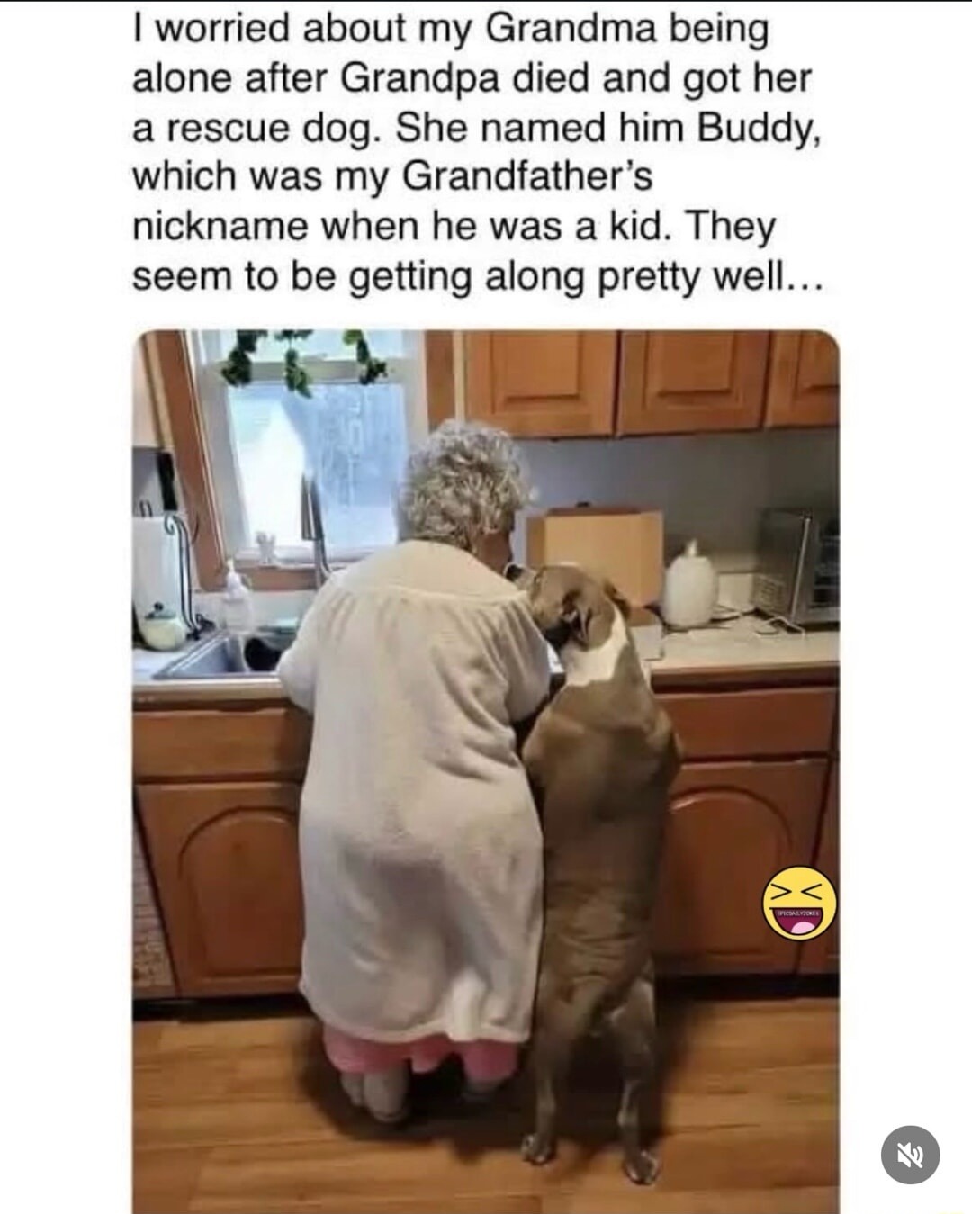 I worried about my Grandma being alone after Grandpa died and got her a rescue dog. She named him Buddy, which was my Grandfather's nickname when he was a kid. They seem to be getting along pretty well...