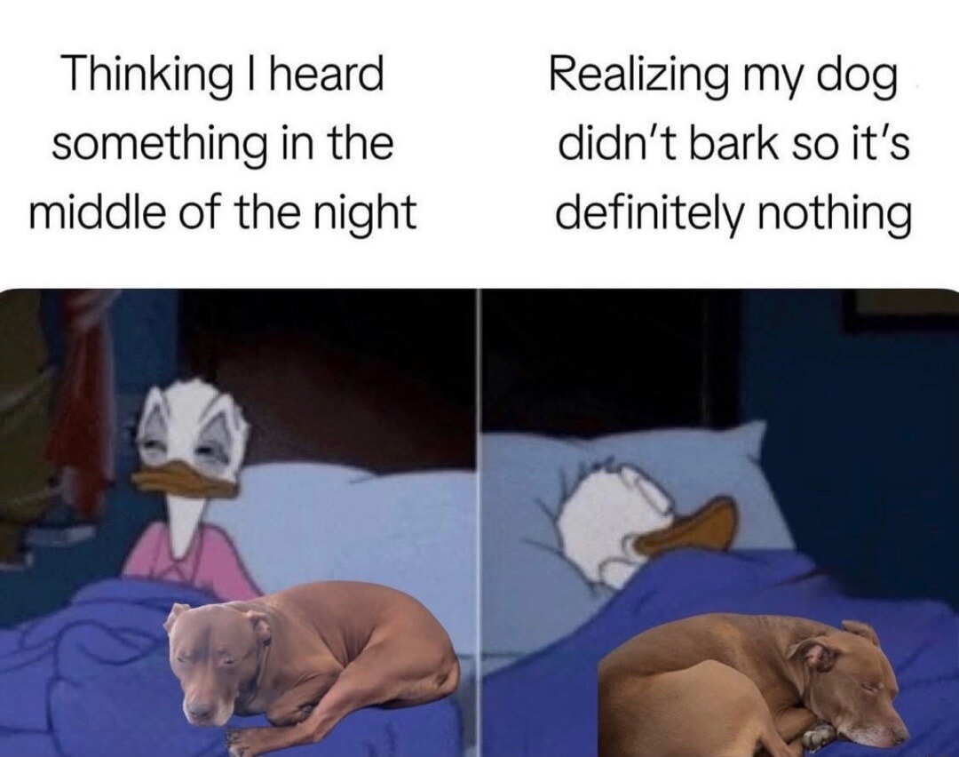 Thinking I heard something in the middle of the night
Realizing my dog didn’t bark so it’s definitely nothing